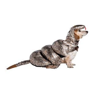 Halloween Snake Dog & Cat Costume
